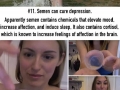 Facts about s*x that they didnt teach you in school