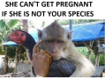 Flawless logic