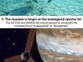 Good news stories you didnt hear about