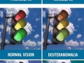 Different types of colourblindness