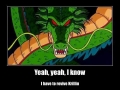 Dragon Ball Fans