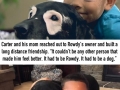 Boy with vitiligo hated himself until..