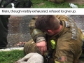 Firefighters rescue pup