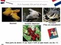Facts about Costa Rica