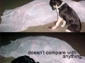 It's Sad, But It's True!