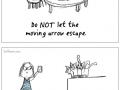 How to become a cat