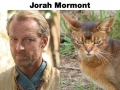 If GoT characters were cats