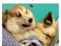 I think all of us can relate