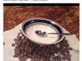 Pictures that will only slightly p** you off
