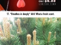 Things that are definitely NOT p*nises