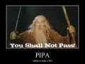 PIPA