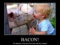 Bacon