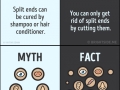 Myths about the human body