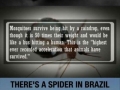 Random facts