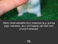 Probably the most f**ked up facts you've ever heard