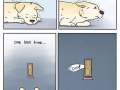 Much sad