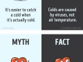 Myths about the human body