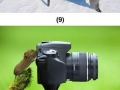 A few animals which really want to be photographers