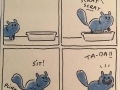 What life looks like living with cats