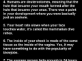 Facts about the human body