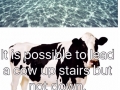 Just some facts