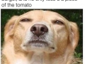 Damn you