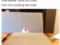 Hired