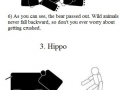 How to fight wild animals MMA style