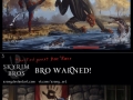 Skyrim Bros