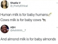 Who has baby almonds?