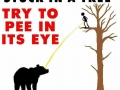 Just a tip