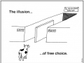 The illusion of free choice