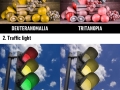 How people with different types of colour blindness see the world