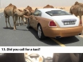 How rich people in Dubai live their lives