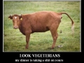 Top of the food chain