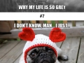 This sad pug will make you smile