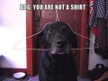 You're not a shirt