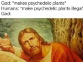 Psychedelic plants