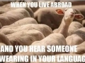 Swearing
