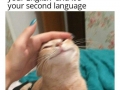 Your second language