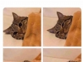 I'm watching
