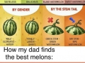 How to pick a watermelon