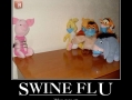 Swine Flu