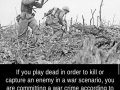 If you play dead in war