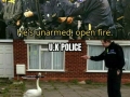 US vs UK Police