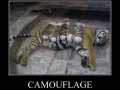 Camouflage