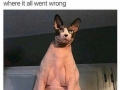 When you get out of the shower