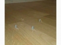 Damn neighbours