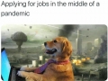 Applying for jobs