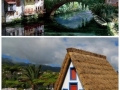 Genius architectures